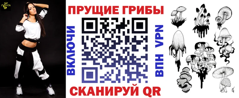 где найти   Коломна  Псилоцибиновые грибы мицелий 