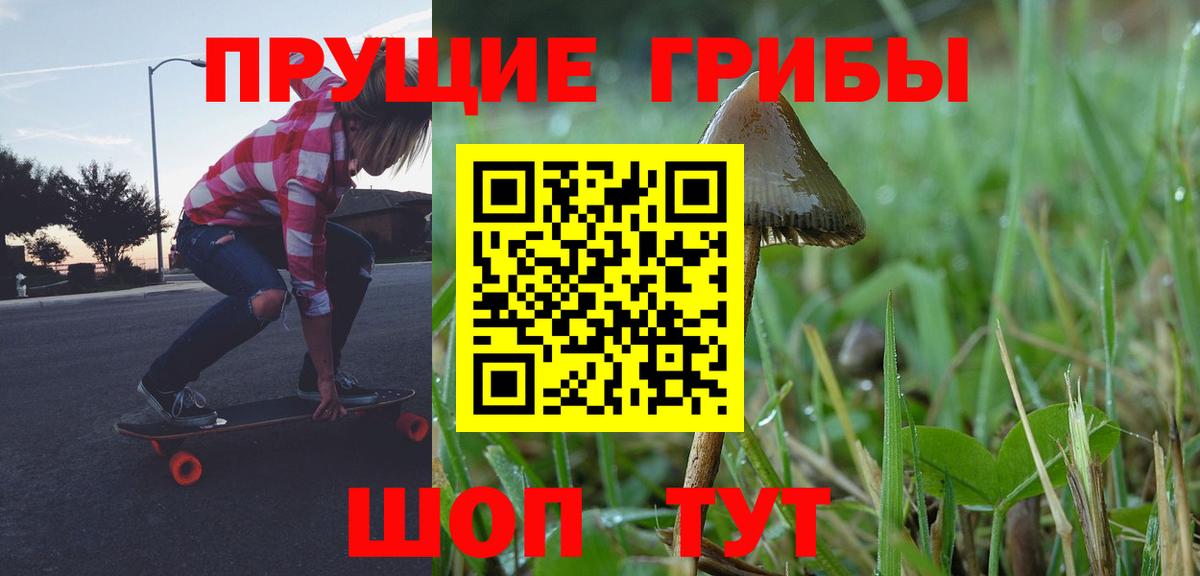 Коломна  Псилоцибиновые грибы MAGIC MUSHROOMS  Вход с VPN 
